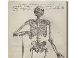 Renaissance. Changes in Medicine