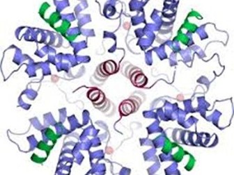 AQA AS Biology Knowledge Organisers