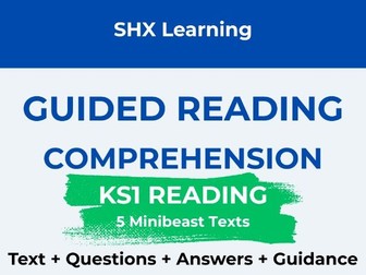 KS1 Guided Reading Comprehension Pack – 5 Minibeast Texts with Questions and Answers