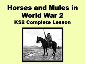 Lesson 1 - Horses and Mules in WW2