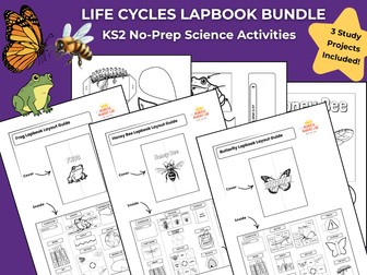 Life Cycles Lapbook Bundle | KS2 Science Activities | Butterfly, Frog & Honey Bee