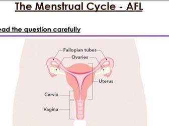KS3 The Menstrual Cycle 6 mark exam question