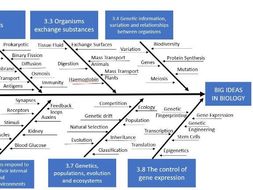 Fishbone diagram questions and answers picture