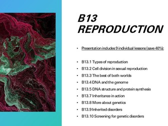 B13 Reproduction