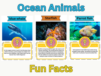 Ocean Animals Fun Facts Flashcards.