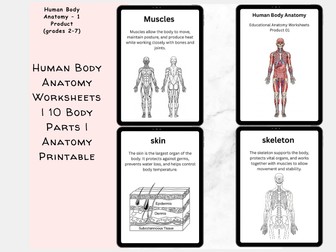 Human Body Anatomy Worksheets | 10 Body Parts | Anatomy Printable
