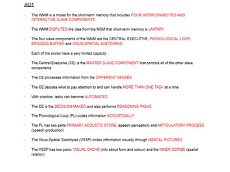A Level AQA Psychology - Memory Essay Plans