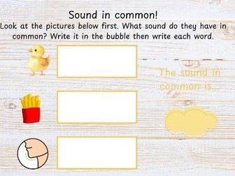 Phase 3 - Sound in common / Odd one out