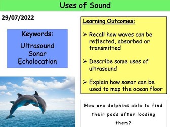 KS3 Uses of Sound