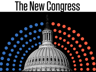 US Congress Structure (Updated to reflect 119th Congress, starting in January 2025)