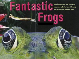 Fantastic Frogs, information text, reading.
