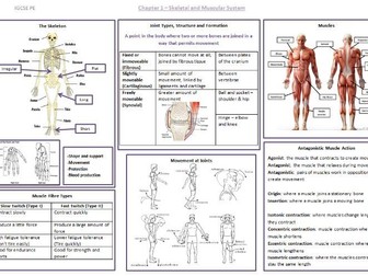 IGCSE PE - Topic on a page