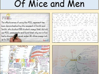 Of Mice and Men - Full SOW - Year 9 Low Ability/SEN English