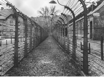Holocaust World History Worksheet + Answers