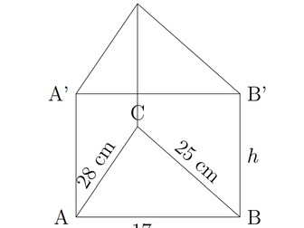 Surface Area and Volume Project with 3D Figures for 7th Grade