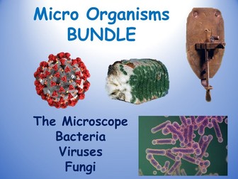 Micro organisms - Bacteria, Viruses and Fungi