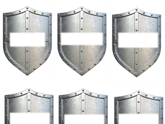 Name Shields