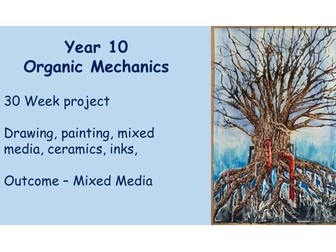 Organics Mechanics Year 10 Art Project