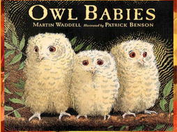owl babies ppt by