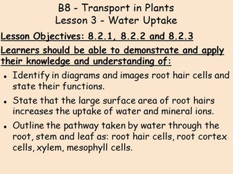B8 Plant Transport IGCSE Biology L3