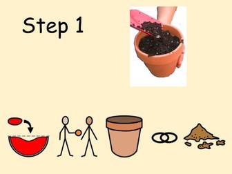 The Tiny Seed Instruction Writing Slides