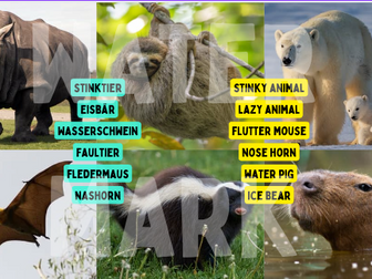 German Animal Names Quiz PPT