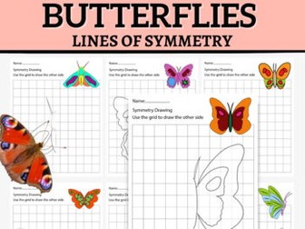 Butterflies Lines of Symmetry Spring Activity