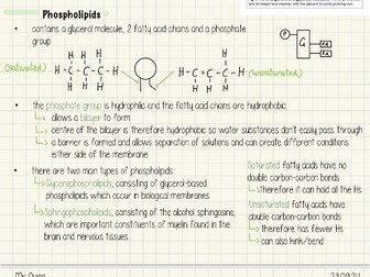 A* A-LEVEL BIOLOGY  NOTES - Biological Molecules