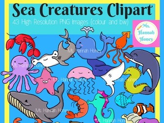 Sea Creatures Marine Animals Clipart Cute