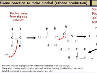 AS Mechanism revision + exam questions