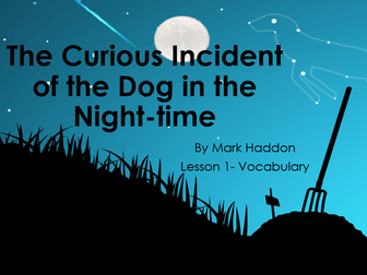 Curious Incident of the Dog in the Night-time- Literacy planning