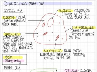 B1: Cells complete topic notes AQA Biology