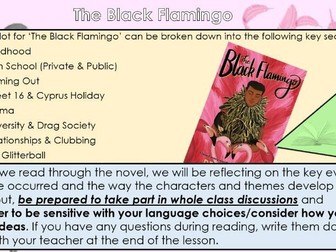 The Black Flamingo - L5-L10: What is the Plot of The Black Flamingo?