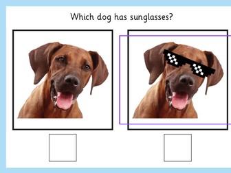 Absence Disappearance worksheets