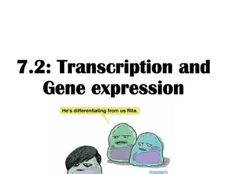 IB Biology HL Unit 7.2: Transcription