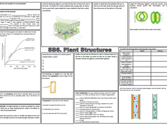Plant Structures Revision Mat Worksheet (SB6 Edexcel)