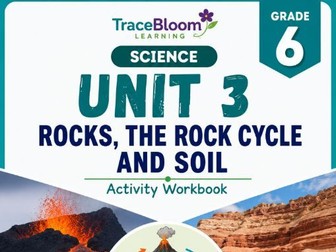 Sedimentary Rock Investigation Worksheet | Grade 6 Science | Rocks, the Rock Cycle and Soil