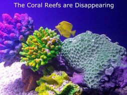 Our Disappearing Coral Reefs #GoogleExpeditions