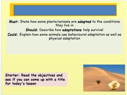 Environment and Adaptations