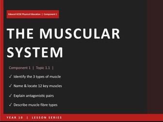 Muscular System | Edexcel GCSE PE | Full Unit – PPT, Booklet, Worksheets, Flash cards, Test.