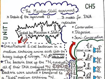 Meselson-Stahl experiment- AS/A Level Biology