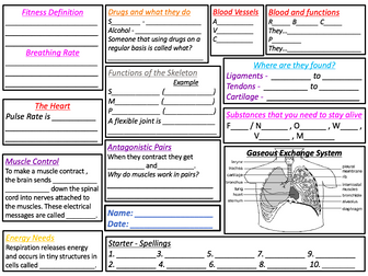 Muscle and Bones Revision Placemat