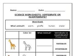 Science worksheets: Vertebrates vs Invertebrates | Teaching Resources