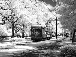 A Streetcar Named Desire Essay Questions By Robbiej Teaching A Streetcar Named Desire Essay Questions Global Warming Essay Thesis also Persuasive Essay Topics High School High School Vs College Essay
