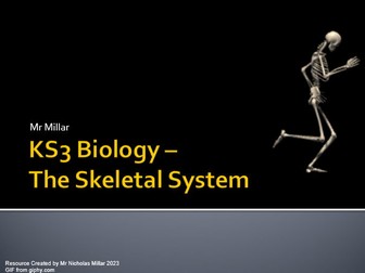 The Skeletal and Muscular Systems - Biology - KS3 - Presentation - Powerpoint