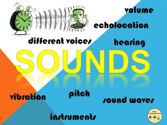 Sounds How Humans Animals Hear Musical Instruments Voices Presentations Plans Activities