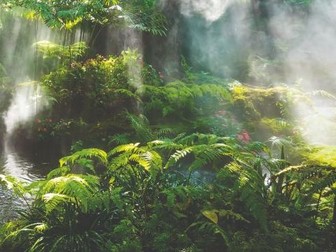 DESCUBRIENDO LOS SECRETOS DEL AMAZONAS