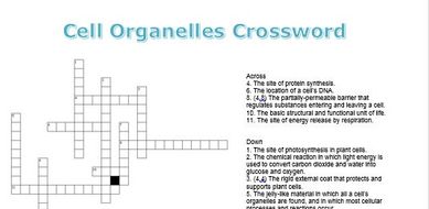 New (2016) AQA GCSE Biology Revision Crosswords: Cells Topic | Teaching