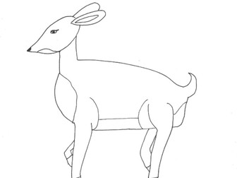 Animals and Pets Bundle