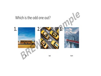 Odd One Out - Reasoning and Critical Thinking Skills